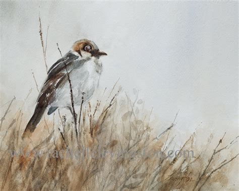 Watercolor Painting Of Sparrow Set Of Two Bird Paintings Etsy