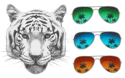 Sunglasses Tiger Stock Illustrations 956 Sunglasses Tiger Stock Illustrations Vectors