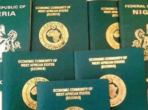 Nigerians Groan Under New Passport Automation Processes Thisdaylive