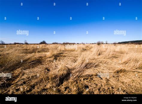 Fields Of Wild Grass Grow In What Was Salt Marsh Before The