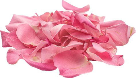 Pile Of Vibrant Pink Rose Petals 47815664 Png