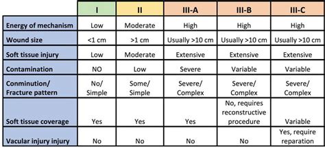 Management Of Open Fracture Intechopen