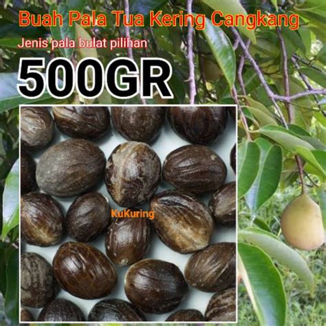 Jual Buah Pala Kering 500gr Dengan Cangkang Atau Batok Shopee Indonesia