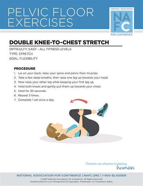 Double Knee To Chest Stretch PELVIC FLOOR EXERCISES DOUBLE KNEE TO