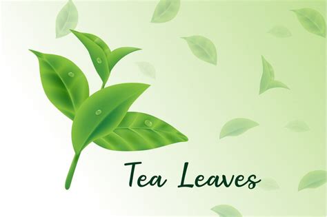 Premium Vector Fresh Green Tea Leaves Vector Realistic 3d Tea Leaves