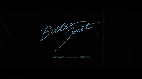 WONWOO X MINGYU Bittersweet 90 Official Instrumental YouTube