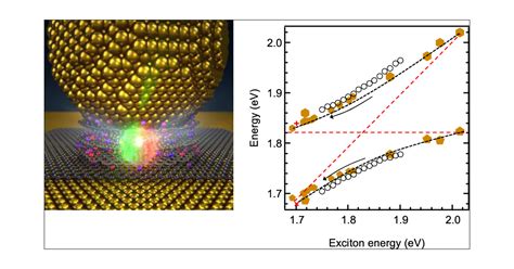 Strong Coupling Of Carbon Quantum Dots In Plasmonic Nanocavities ACS