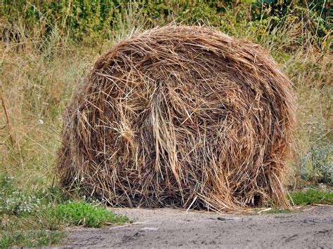 Free Photo Hay Rick Haystack Haymaking Free Image On Pixabay 528654