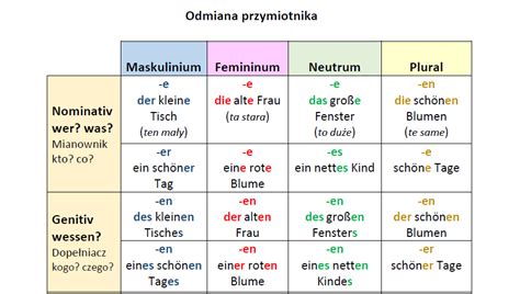 Odmiana Przymiotnika Studentka W Dreźnie