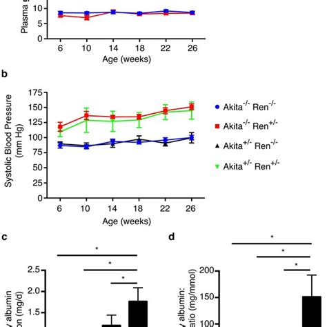 Akita Ren Mice Develop Significant Hyperglycemia Hypertension