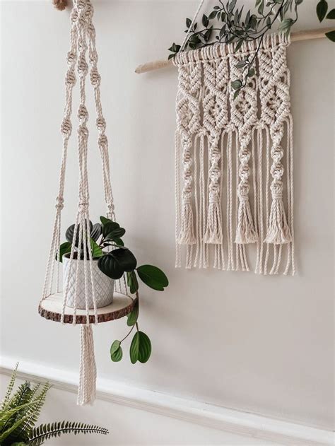 Plant Decor Indoor Plant Decor Ideas Plants Decor Outdoor Plant