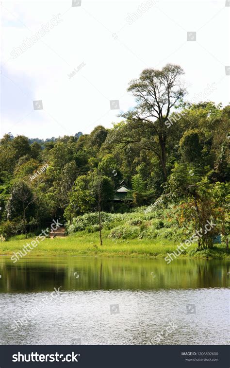 Mae Hong Son Reservoir Thailand库存照片1206892600 Shutterstock