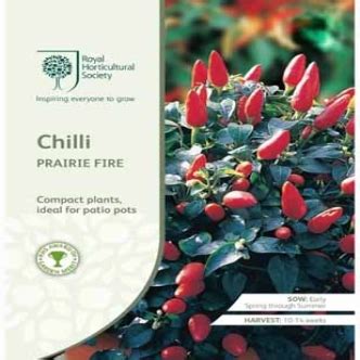 RHS CHILLI PRAIRIE FIRE Heynes