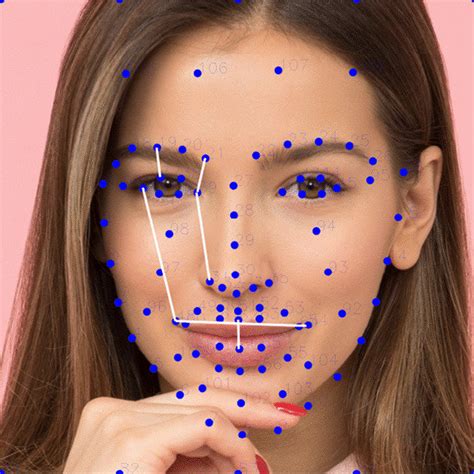 Example Of The Distances Used To Compose The Facial Landmark Assessment