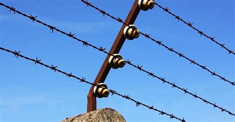 Neuengamme Concentration Camp Memorial Guided Private Tour SuiteTrails