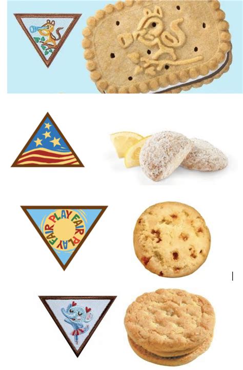 Brownie Badges Featured On Girl Scout Cookies Girl Scout Cookies Wiki Fandom