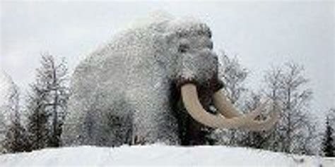 Mammoth Blood Gives Hope for Cloning? | The Scientist Magazine®