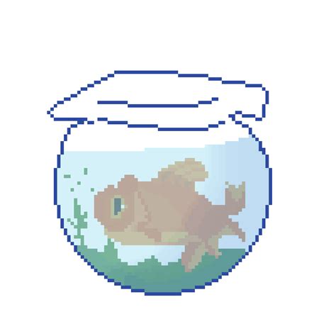 Fish Bowl  Fish Bowl Crazy Discover Share S