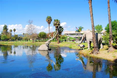 The La Brea Tar Pits And Museum In Los Angeles Digging Up Fun And Fossils In Los Angeles Go