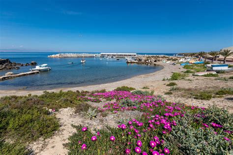 Las 8 Mejores Playas De Alicante Capital Tranquilas Urbanas Para Ir