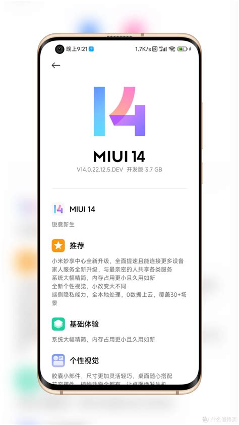 Miui Miui