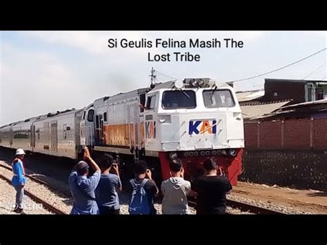 Si Geulis Felina Masih The Lost Tribe Kereta Api Ka Malabar Pagi