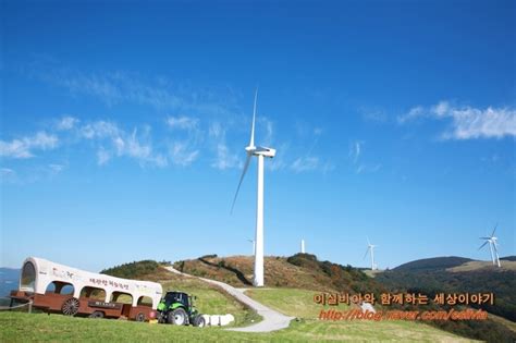 평창 가볼만한곳 대관령 하늘목장 경포해변 산으로 바다로 네이버 블로그