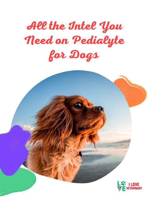 Toda la información que necesitas sobre Pedialyte para perros I Love