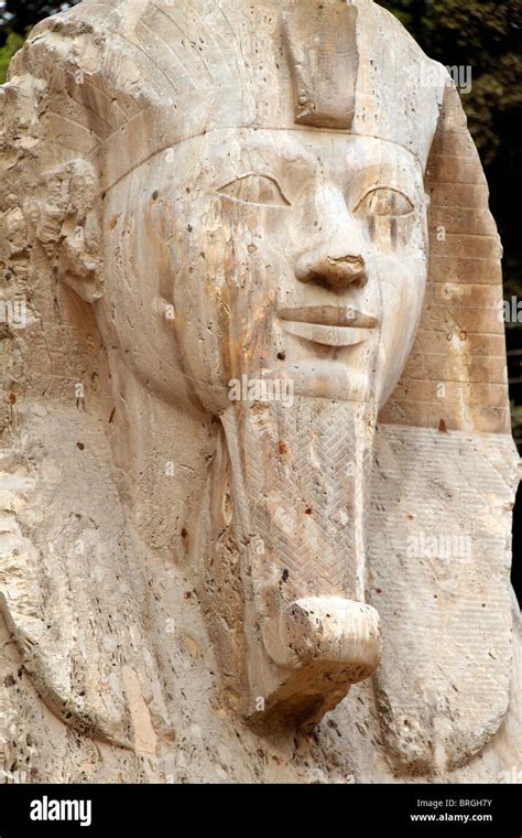 The Alabaster Sphinx In Memphis Egypt Stock Photo Alamy