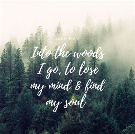 John Muir Quote Into The Woods Quotes John Muir Quotes Quotes To