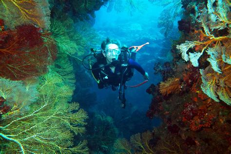 Beqa Lagoon Resort Dive Centre Beqa Island Fiji Islands