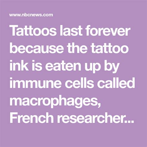 Heres Why Tattoos Last Almost Forever And Its Not What You Think