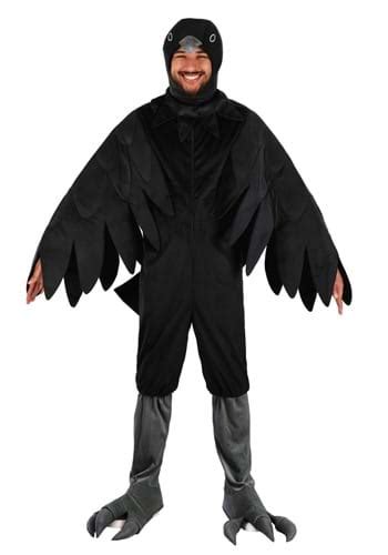 Crow Costumes for Adults & Kids | HalloweenCostumes.com