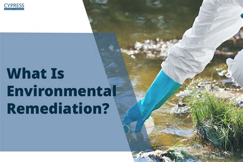 What Is Environmental Remediation Strategies And Impact