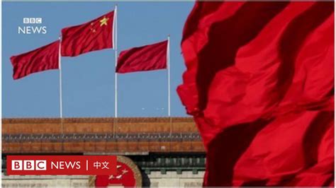 90秒动画看懂中共十九大为何重要 Bbc News 中文