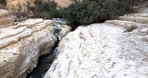 Ein Gedi Nature Rserve The Complete Guide With Maps