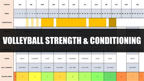 College Volleyball Conditioning Workouts - Infoupdate.org