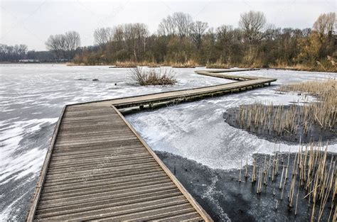 Pasarela De Madera Zigzagueando A Trav S Del Lago Kralingse Plas En