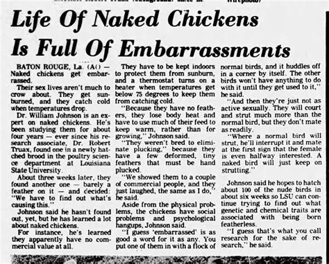 Naked Chicken Research