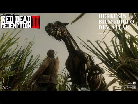 Herkes N B Lmed O G Zeml Dev Atlar Red Dead Radempt On Youtube