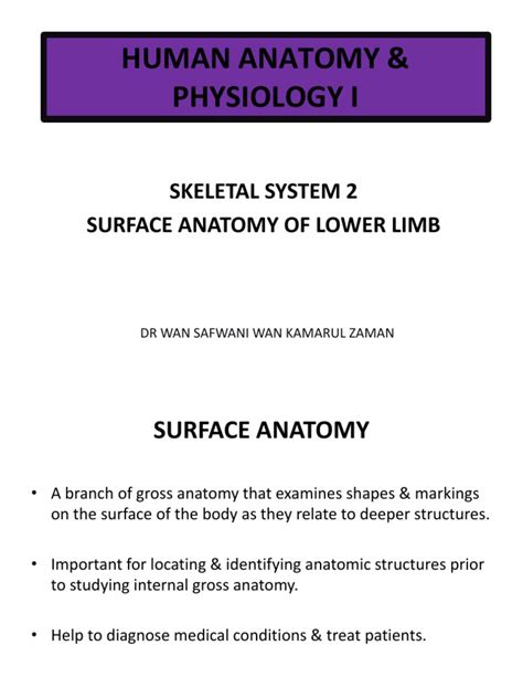 Lecture 12 Skeletal System Lower Limb Surface Anatomy Pdf Human Leg Foot