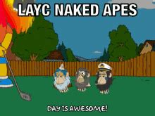 Nakedapes PFP Nakedapes Profile Pics