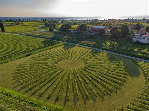 Lazise Ving Rdstur Med Garda Vine Og Madsmagning Getyourguide