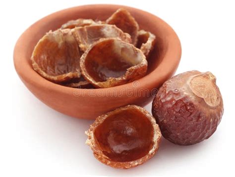 Sapindus Mukorossi Or Indian Soapberry Stock Image Image Of Indian