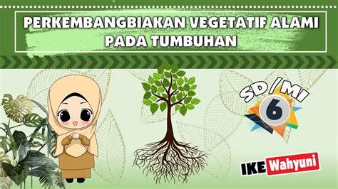 Perkembangbiakan Vegetatif Alami Pada Tumbuhan Kelas 6 Tema 1