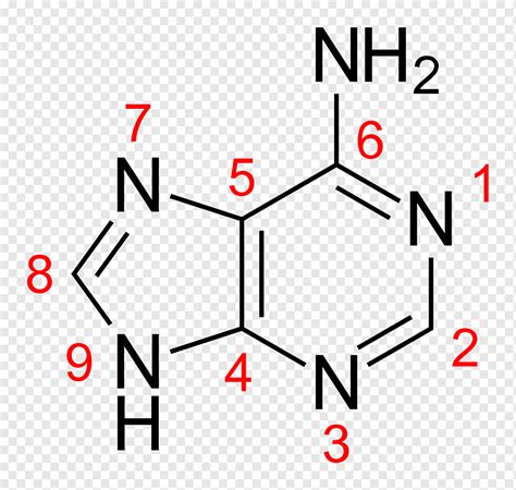 Guanine Chemical formula Adenine Nucleobase Molecule, others, angle ...
