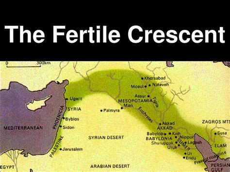 Ppt The Fertile Crescent Powerpoint Presentation Free Download Id