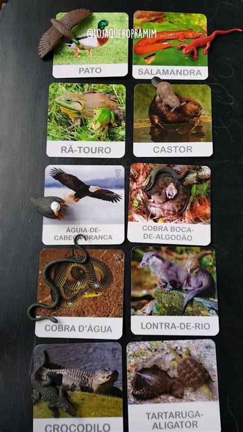 Tubo De Miniaturas Safari Ltd Animais De Rio E Flashcards Para