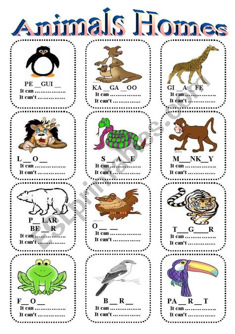 animal homes - ESL worksheet by nutro