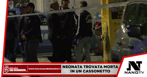 Neonata Trovata Morta In Un Cassonetto Nano Tv